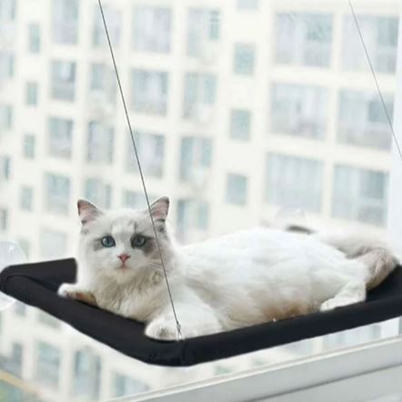 Hamac Chat - PetCatHangingBed™ - Noir - Le Nid Félin